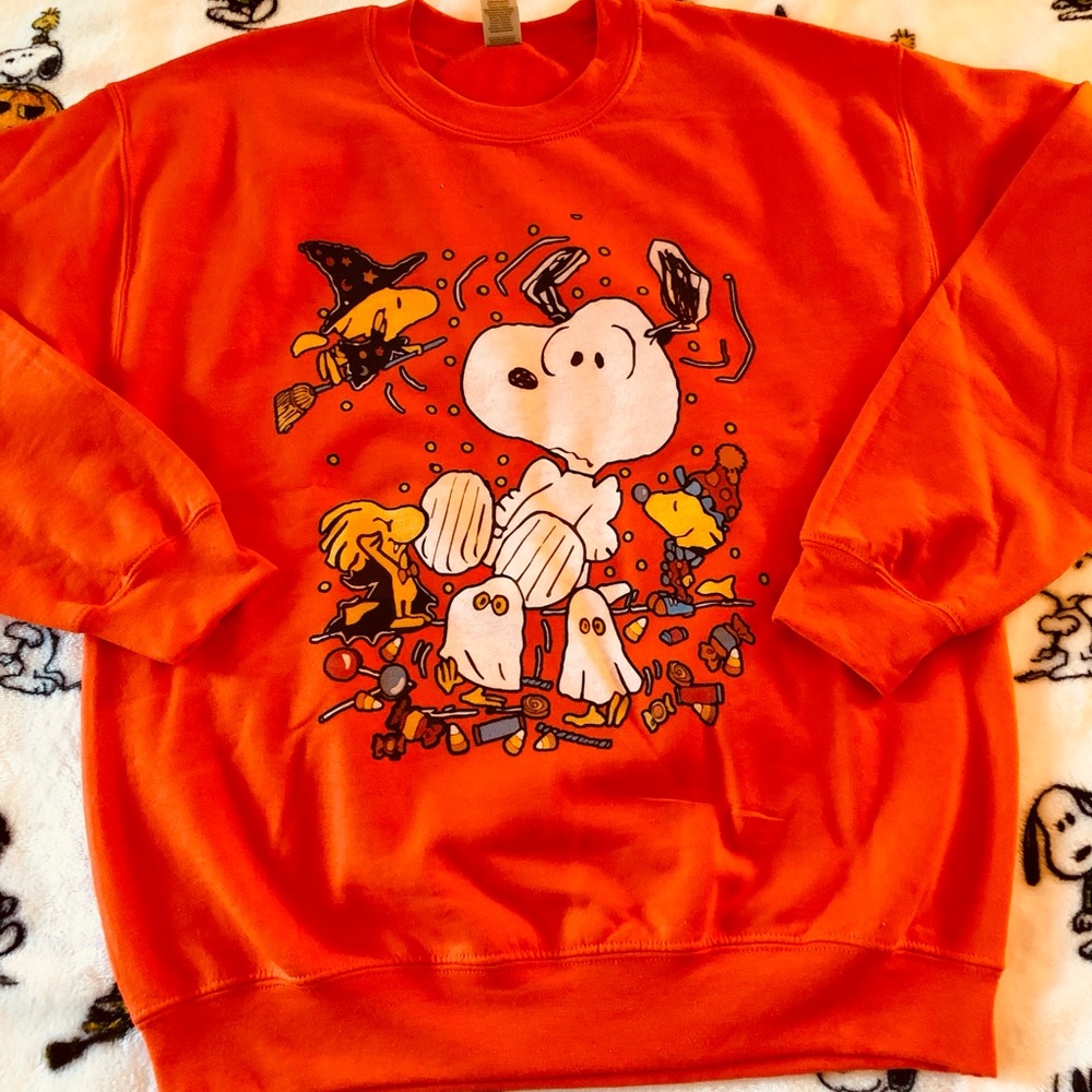 Snoopy Halloween sweater